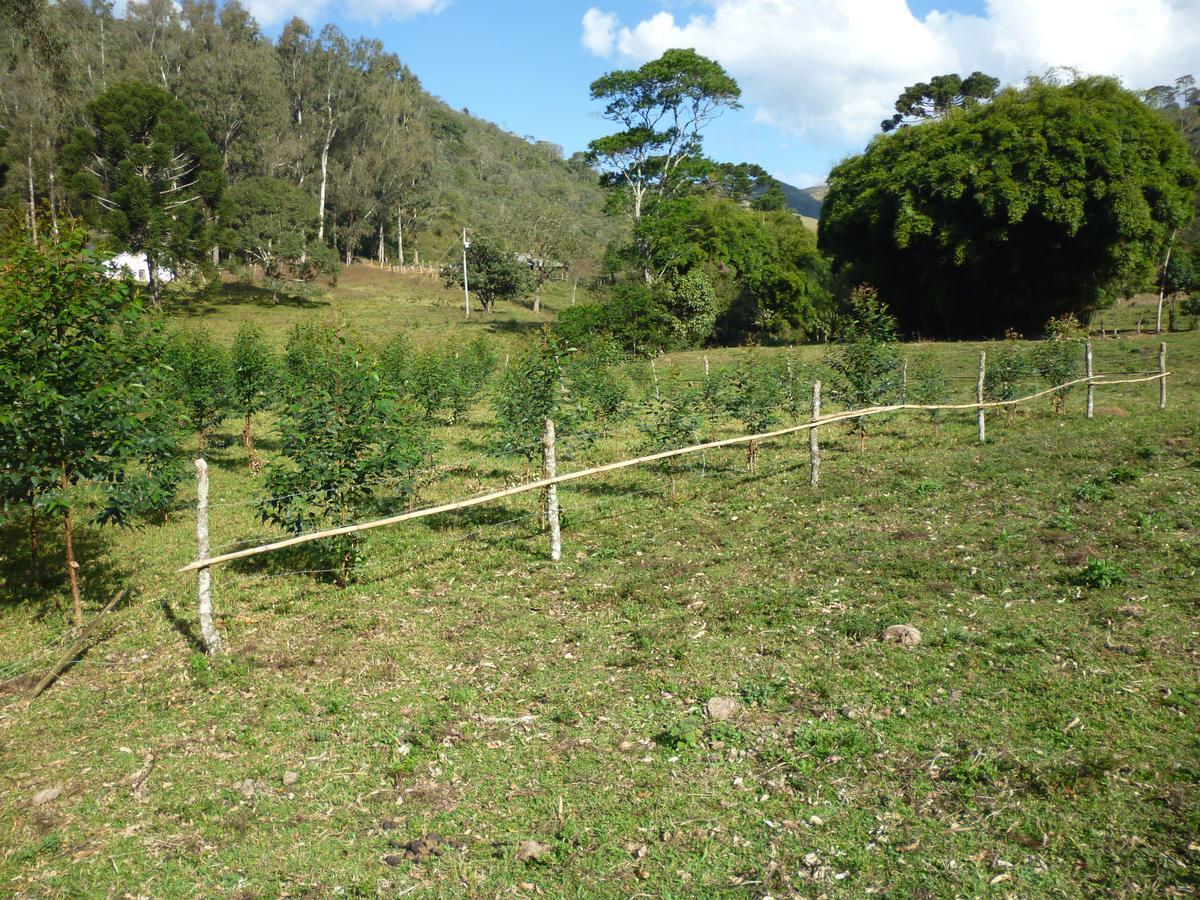 Casa De Campo Rustica Em Fazenda Usina Bocaina de Minas Exterior foto