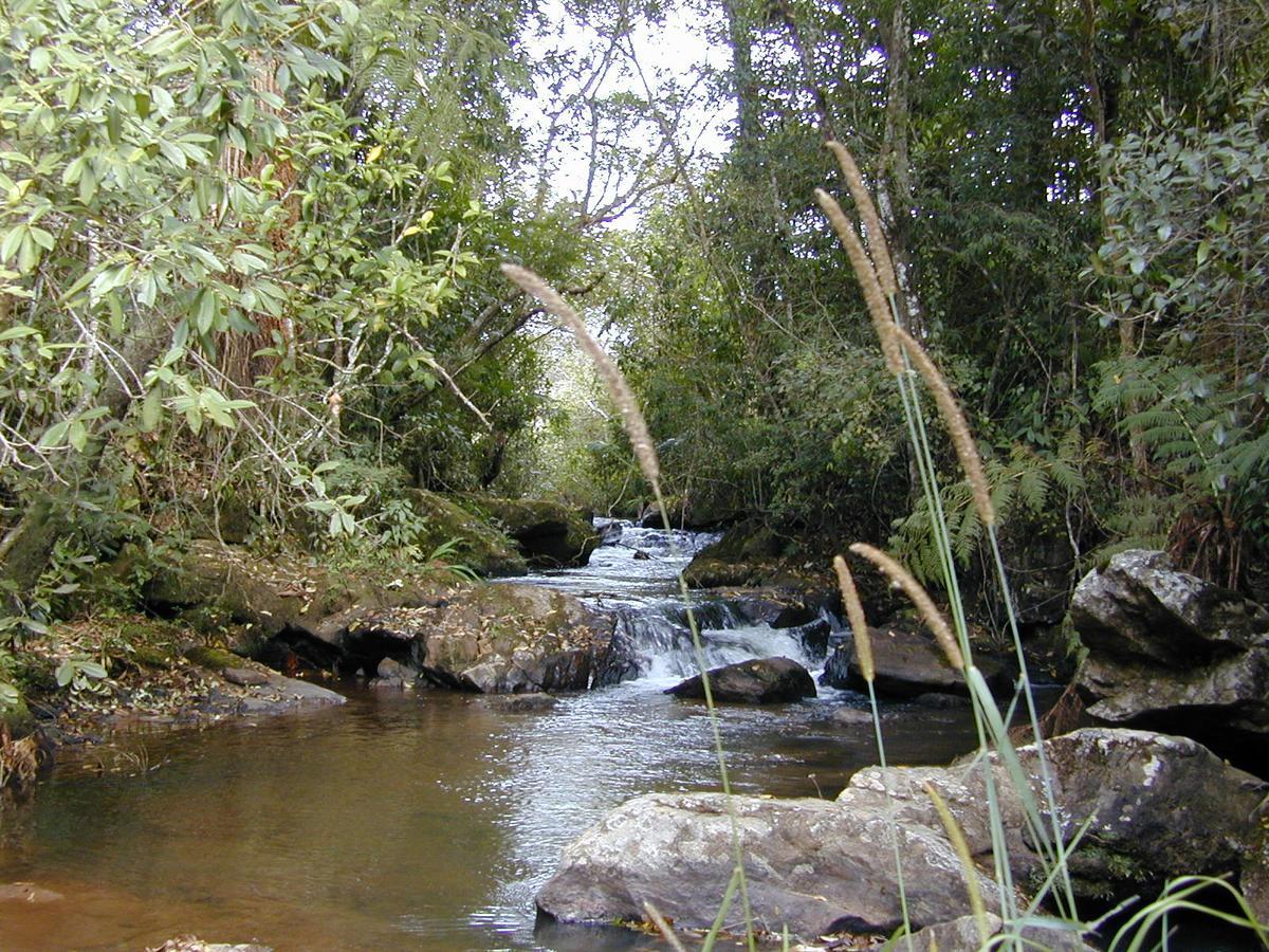 Casa De Campo Rustica Em Fazenda Usina Bocaina de Minas Exterior foto